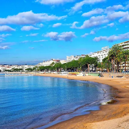 Studio Cannes